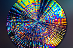 Polarized Vitamin C Crystal