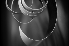 Curves in Motion