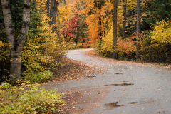 Autumn Trail