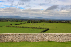 Fields of Green Ireland