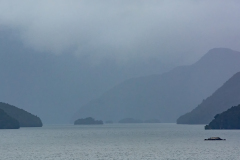 Fjordland Mist