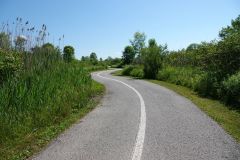 following the curve