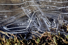 Frozen Assets
