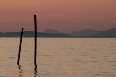 Qualicum Quiet
