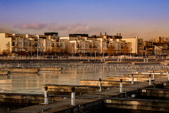 The Harbour