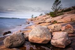 Muskoka Shoreline