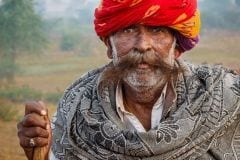 Indian Camel Herder