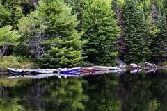 Algonquin colors