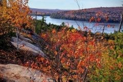 Algonquin View