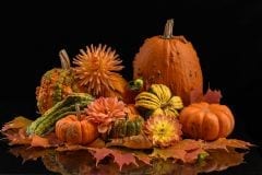 Colours of October