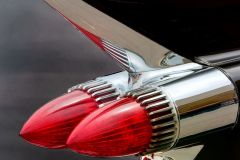 When Fins were In