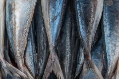 Fish Tails