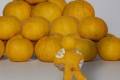 Orange You Glad I'm Helping