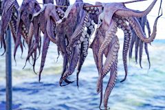 Fresh octopus hanging at Greek Restaurant