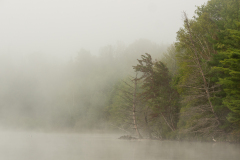 Smoke on the water