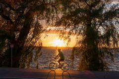 Sunset Rider