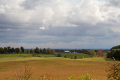 Fall Pastures