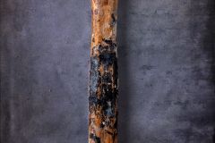 Carpenters Hammer