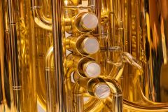 Tuba Valve Assembly
