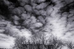 Naturalia - Being Reclaimed by Nature