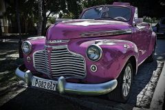 Pink Lady