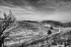 Lonesome Trails