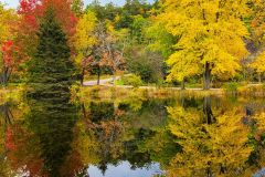 Autumn Reflections