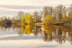 EarlySpringPond