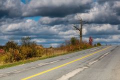 Roadside Scenery
