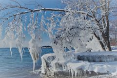 winter wonderland