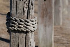 Posts
