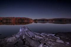 Lakeside Stump in Fall