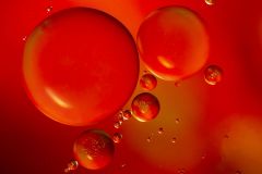 The Red Planets