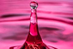 Water Drops