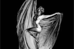 En Pointe