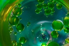 Oil Spill