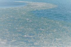 frozen jewels