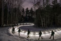 Winter Stroll