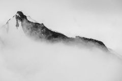 Mountain Mist