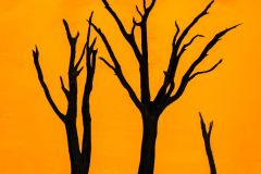 Deadvlei silhouettes