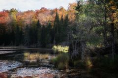 Wetlands South Lake Rd Minden