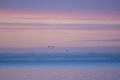 Pastel Dawn Over Lake Ontario