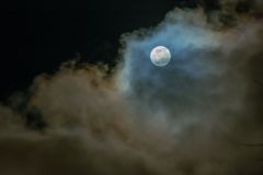 Wolf Moon and Clouds