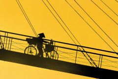 Morning Crossing