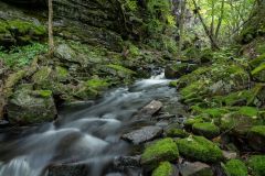 The Gorge
