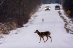 Road Hazards