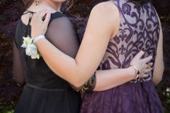 Best Friends