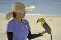 Bird Whisperer