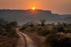 Ranthambhore Sunset
