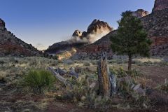 Zion National Park